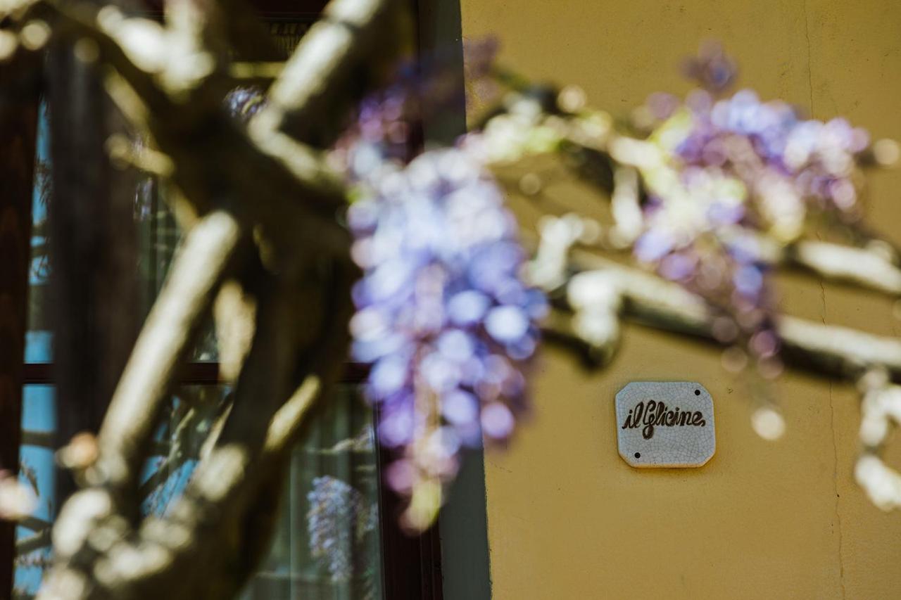 Agriturismo Montalbino มอนเตสแปร์โตลิ ภายนอก รูปภาพ